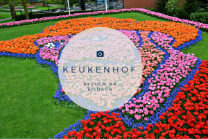 Keukenhof, Holandia, bele kaj, blog po śląsku