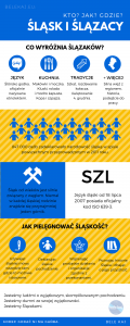 bele kaj, blog po śląsku, infografika - Śląsk i Ślązacy