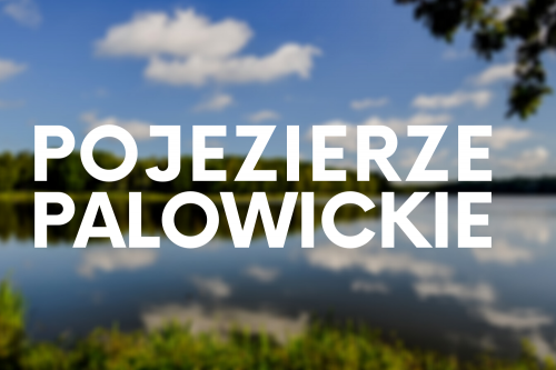Pojezierze Palowickie, Palowice, Śląsk - bele kaj, blog podróżniczy po śląsku