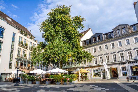 Bonn, Niemcy - bele kaj, blog podróżniczy po śląsku