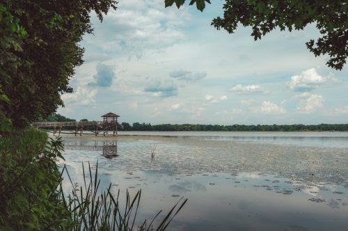 Rezerwat Łężczok, Śląsk - blog podróżniczy bele kaj