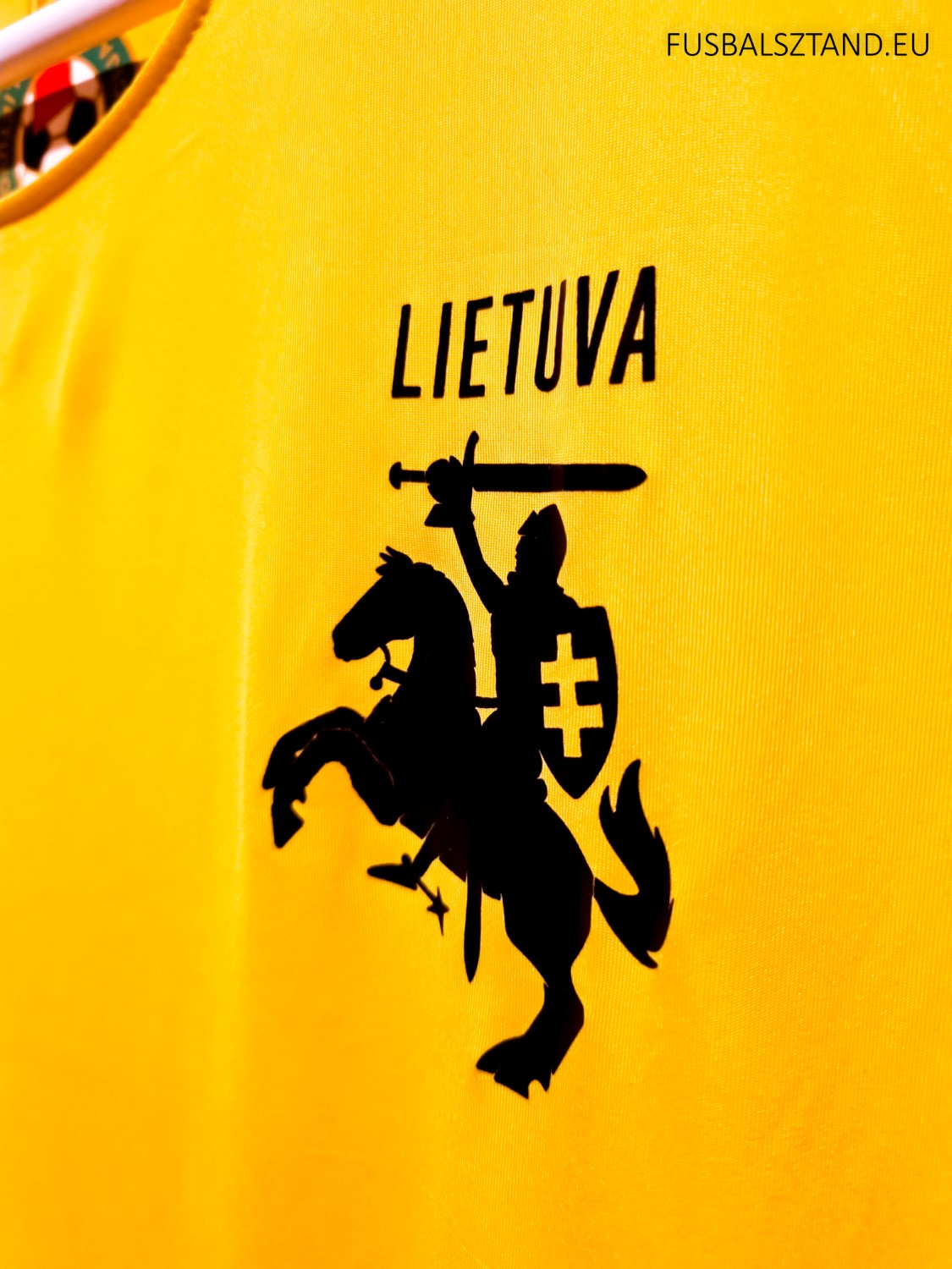 Lithuania Home Shirt 2018-19 M